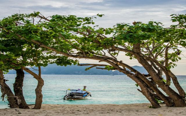 Paradise Resort PHI PHI