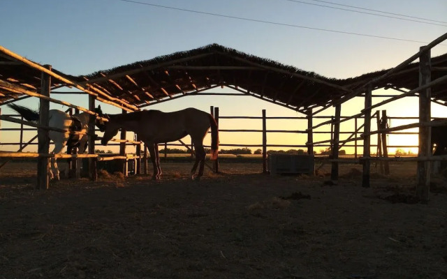 Agriturismo Giuncola & Granaiolo