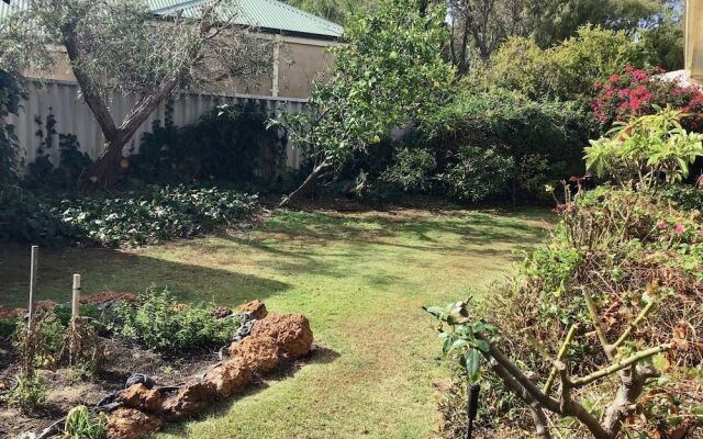 Hakea Haven