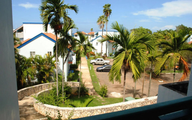 Mango Beach Studio