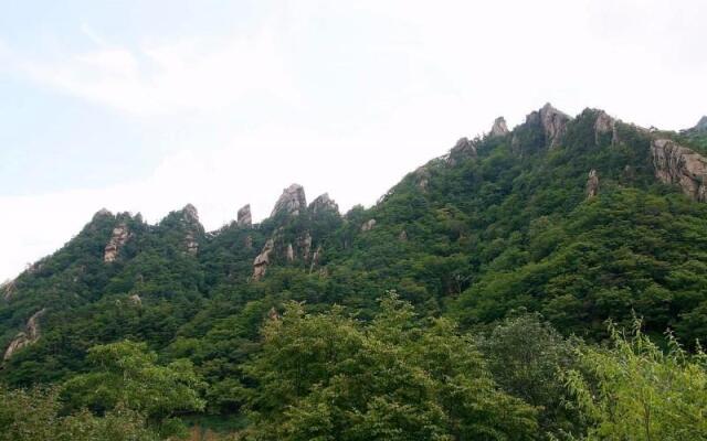 Yangyang Wink Pension