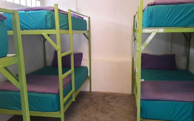 Purple Monkey Backpackers