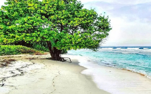 Bon Abri maldives