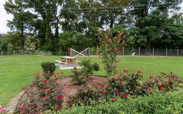 Red Carpet Inn and Suites Kinston NC