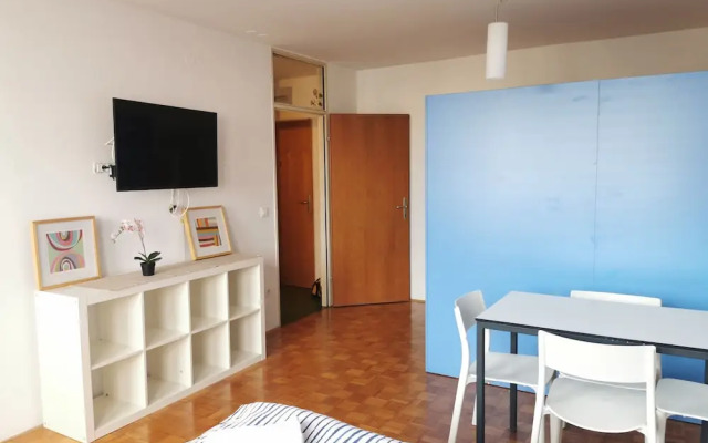 Dunajska Apartment