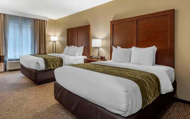 Comfort Inn and Suites
