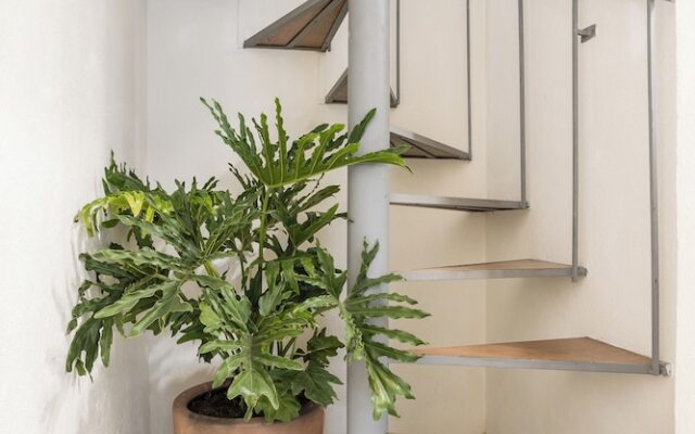 1BR Rooftop King Suite Casita in Centro