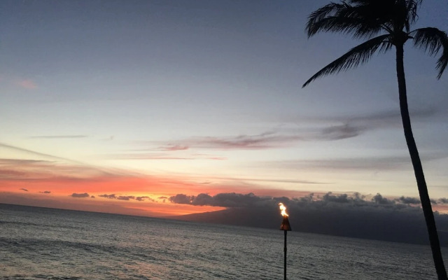 Kuleana Turtle Sanctuary Beach
