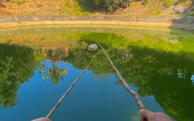 Pousada Veredas do Sol