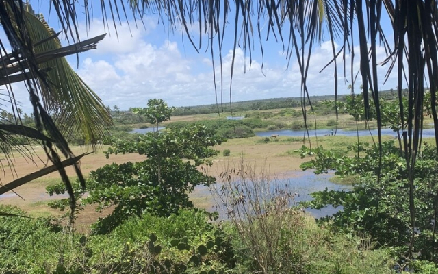 Beach Camping Brazil