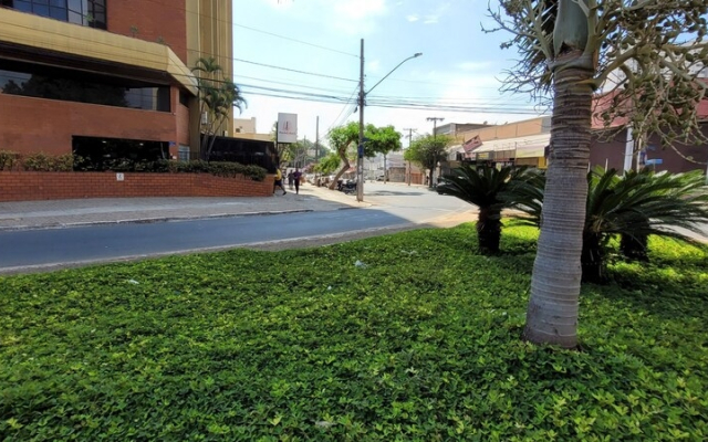 Cazebre - Paineiras HG02H