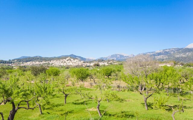 Ses Planes - Adults Only (Ca Na Faustina)