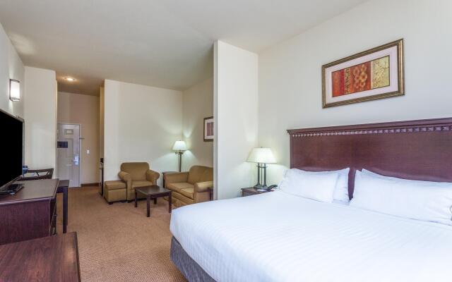 Holiday Inn Express Hotel & Suites Clarksville, an IHG Hotel