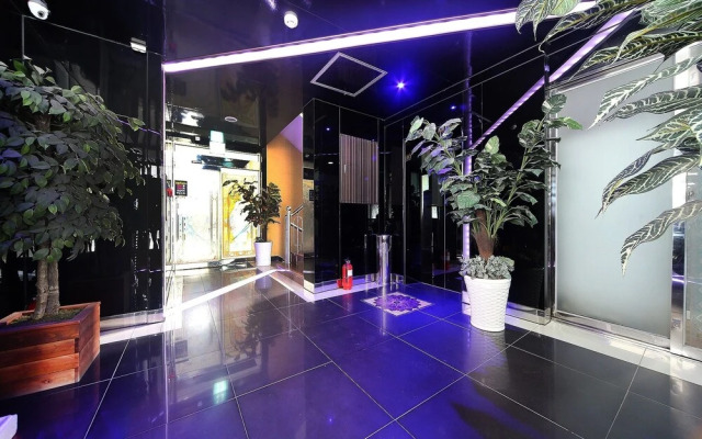 Busan Songjeong Sloth