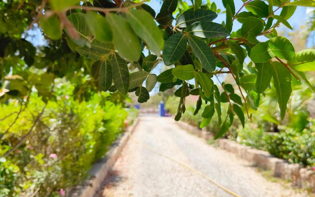 Riad Eucalyptus by Caravanserail