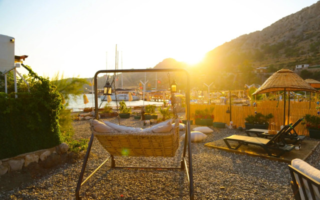 Tiny House Echino söğüt