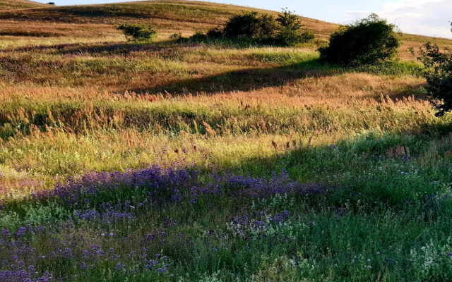 Insel Landhaus Feuerstein
