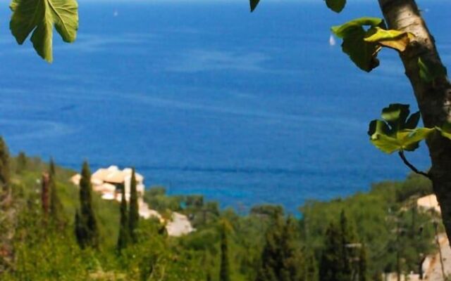 Angela Studios Paxos