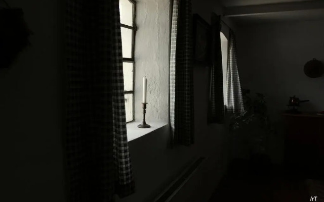 Stutteri Skandi Hest