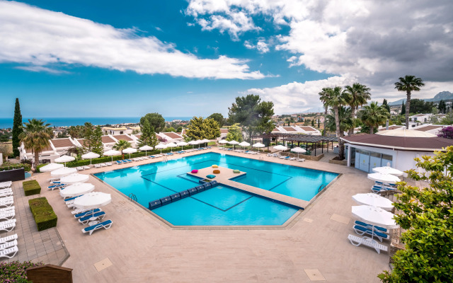 The Olive Tree Hotel