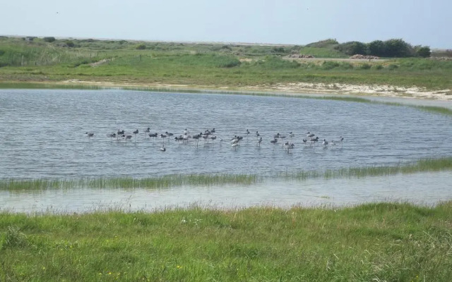 Camping Les Galets de la Molliere