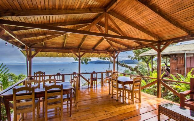 Cotingas Ocean View