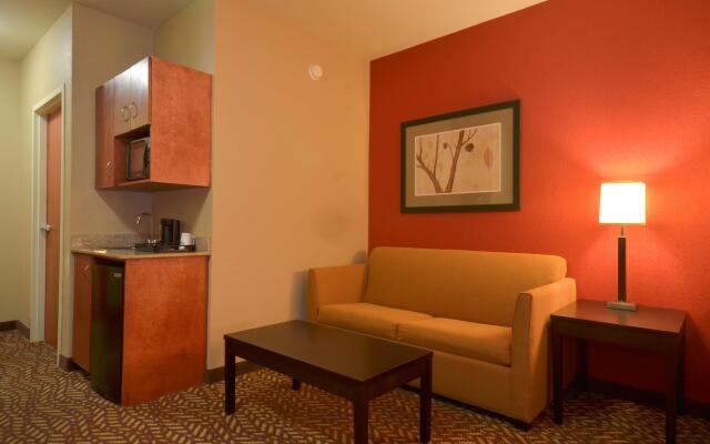 Holiday Inn Express Hotel & Suites Pine Bluff / Pines Mall, an IHG Hotel