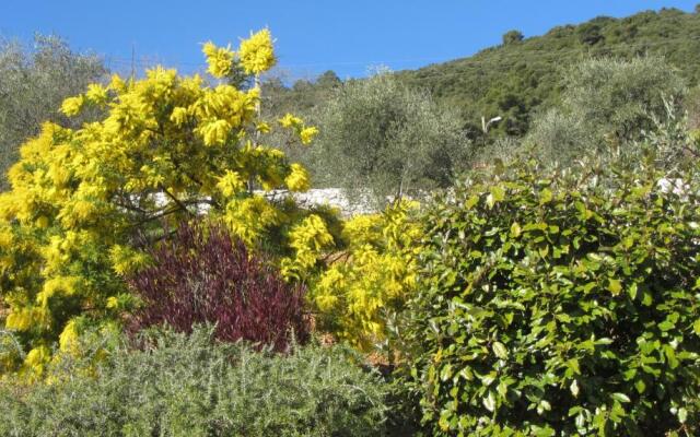 villa des oliviers