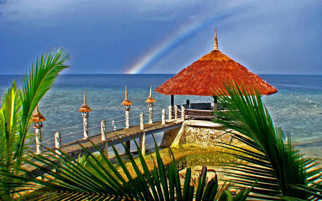 Dolphin House