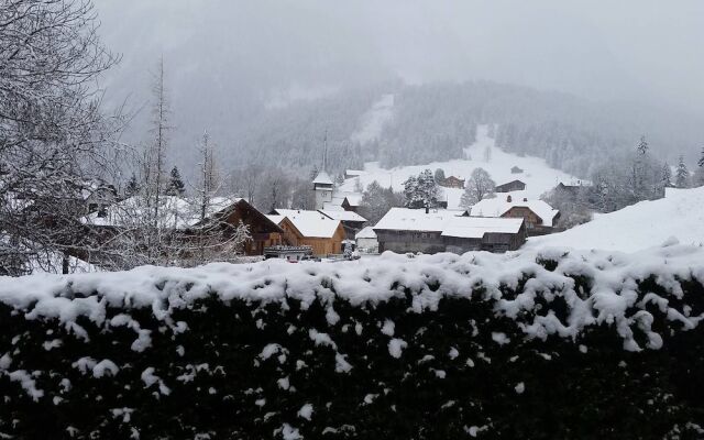 Cosy authentic Chalet in Gsteig