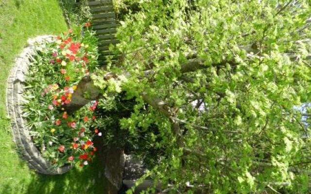 Serenity Bed and Breakfast