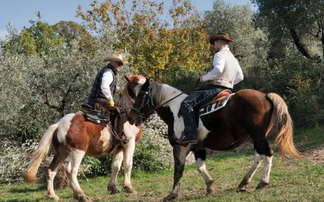 Agriturismo L'Uliveto Equestre
