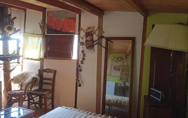 Casetta sull'Albero, Girasole