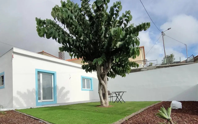 Madeira Blue House