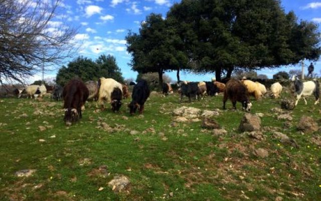 Golan Heights Hostel