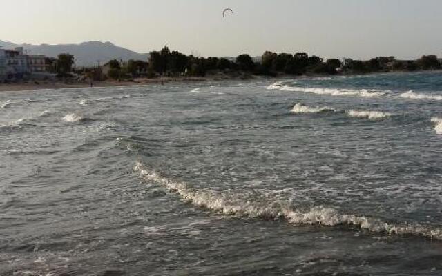 Nineta's House Sea View near the Airport