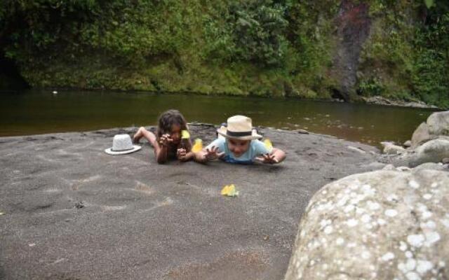 Amuntai Rainforest Lodge