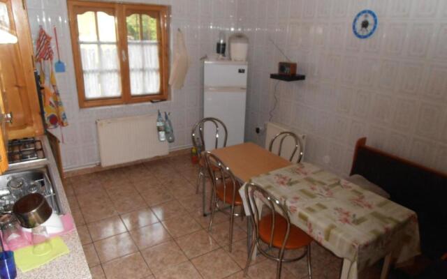 Vila Busteni DORA, locatie superba strada Grivitei 36