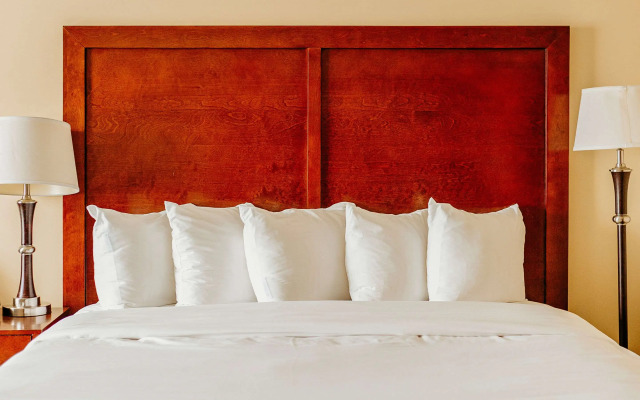 Comfort Inn Pomona near Fairplex