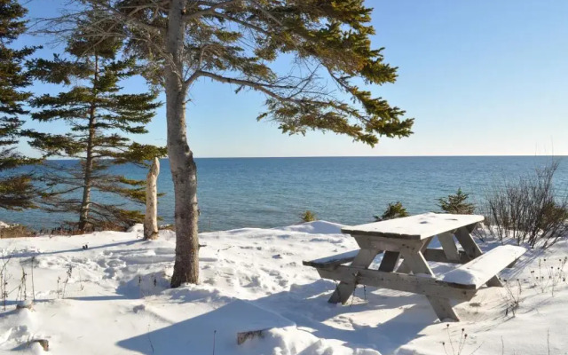 The Dancing Moose Cafe