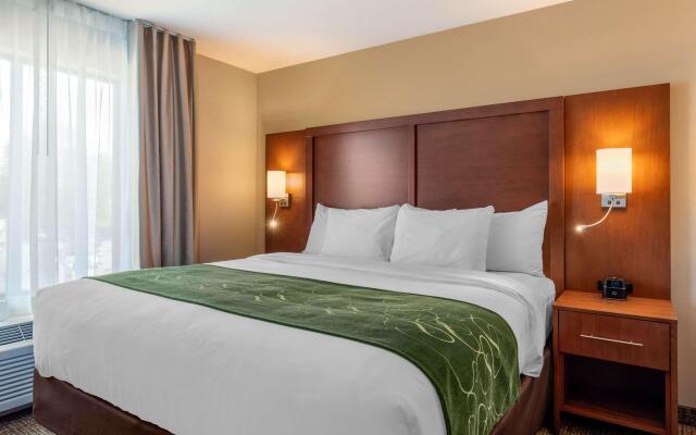 Comfort Inn & Suites Schenectady - Scotia