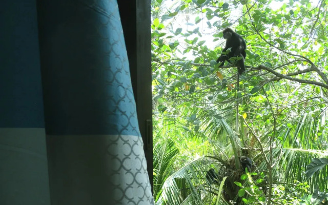 Summer Breeze Weligama