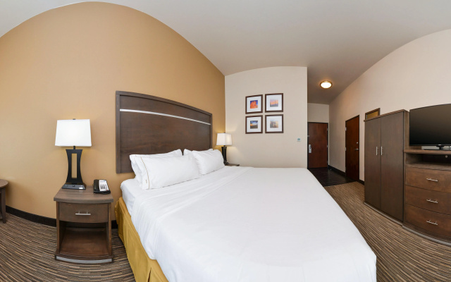 Holiday Inn And Suites Globe