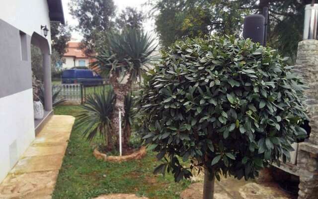 Apartment Damjan