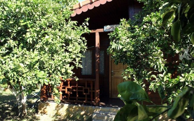 Cirali Merhaba Hotel