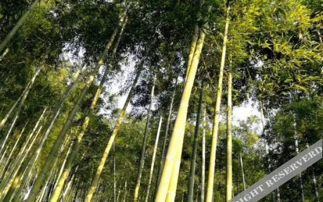 Yingwuxin Boutique Hostel Mount Mogan