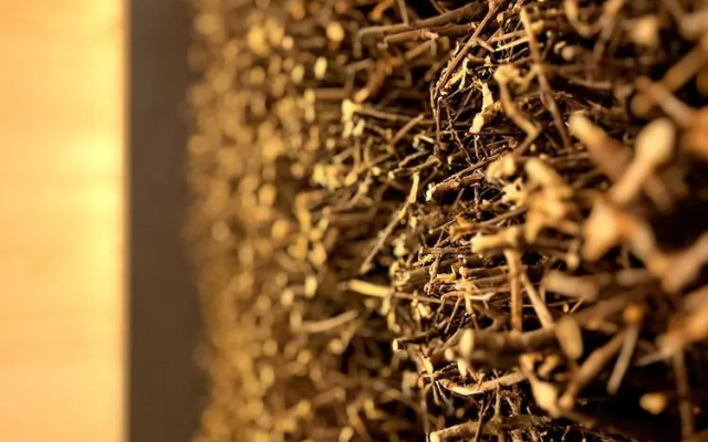 Spark by Hilton Pobierowo