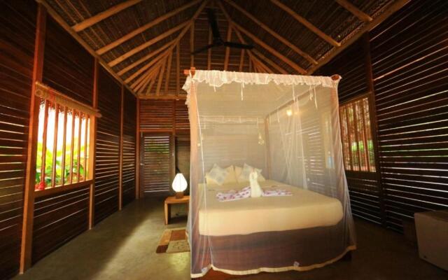 Mangrove Beach Cabana