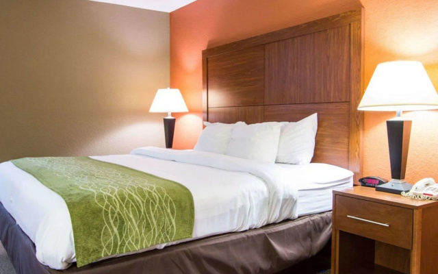 Comfort Inn & Suites Charleston Airport Convention Center