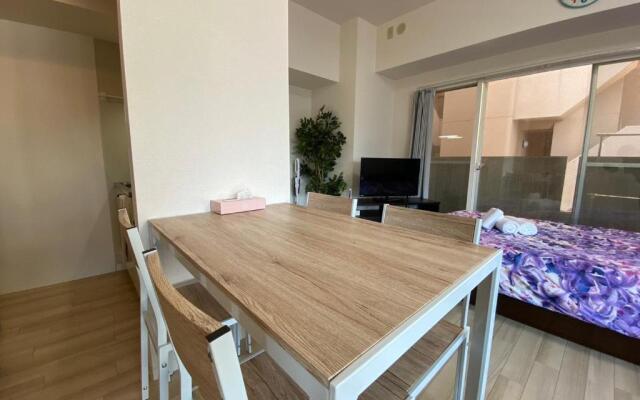 Downtown area Spacious cozy room Susukino IK601